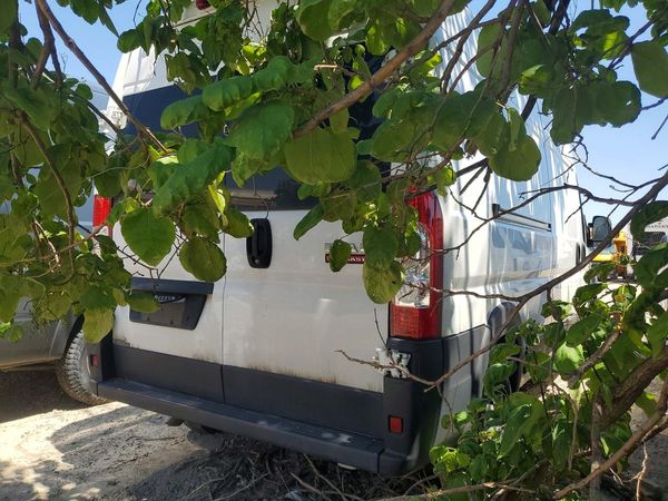 2020 RAM PROMASTER 2500 VF