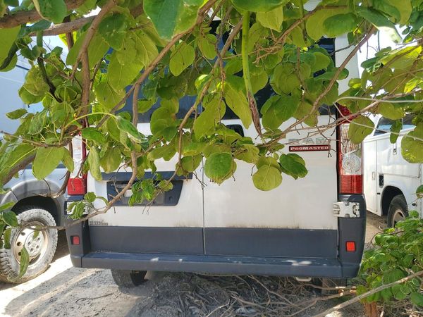2020 RAM PROMASTER 2500 VF