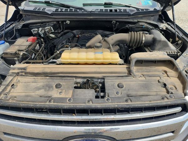 2019 FORD F150