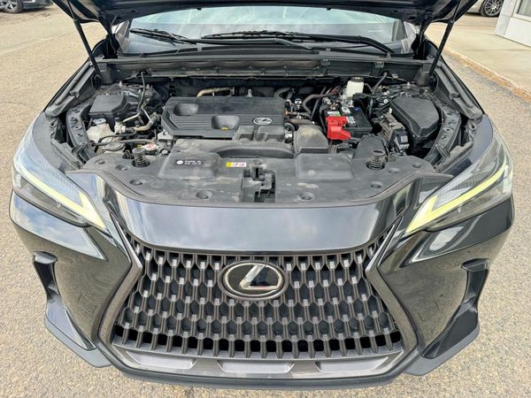 2022 LEXUS NX 250 Base