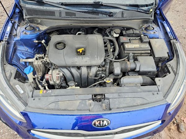 2019 KIA FORTE FE/LX/LXS — Engine bay