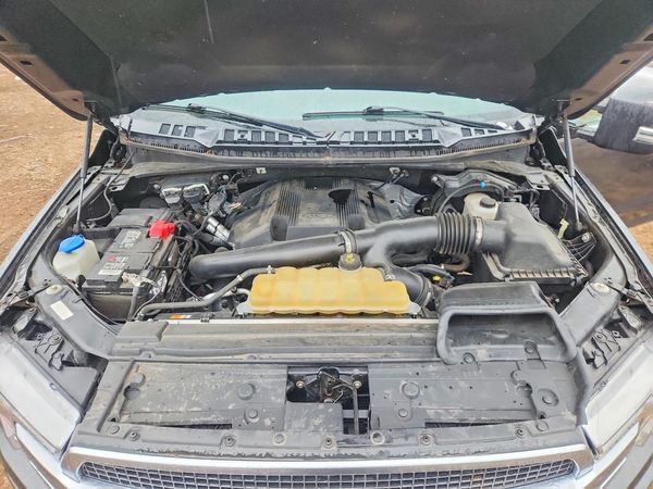 2019 FORD F150