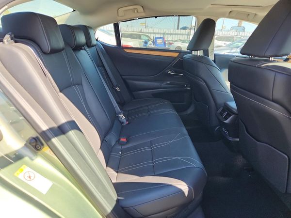 2019 LEXUS ES 300h