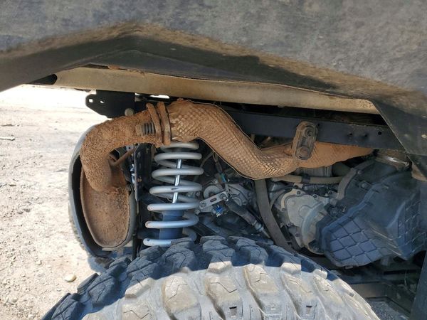 2020 POLARIS RANGER