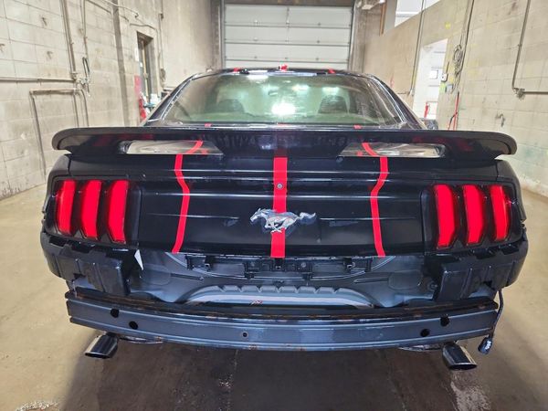 2019 FORD MUSTANG I4 Coupe