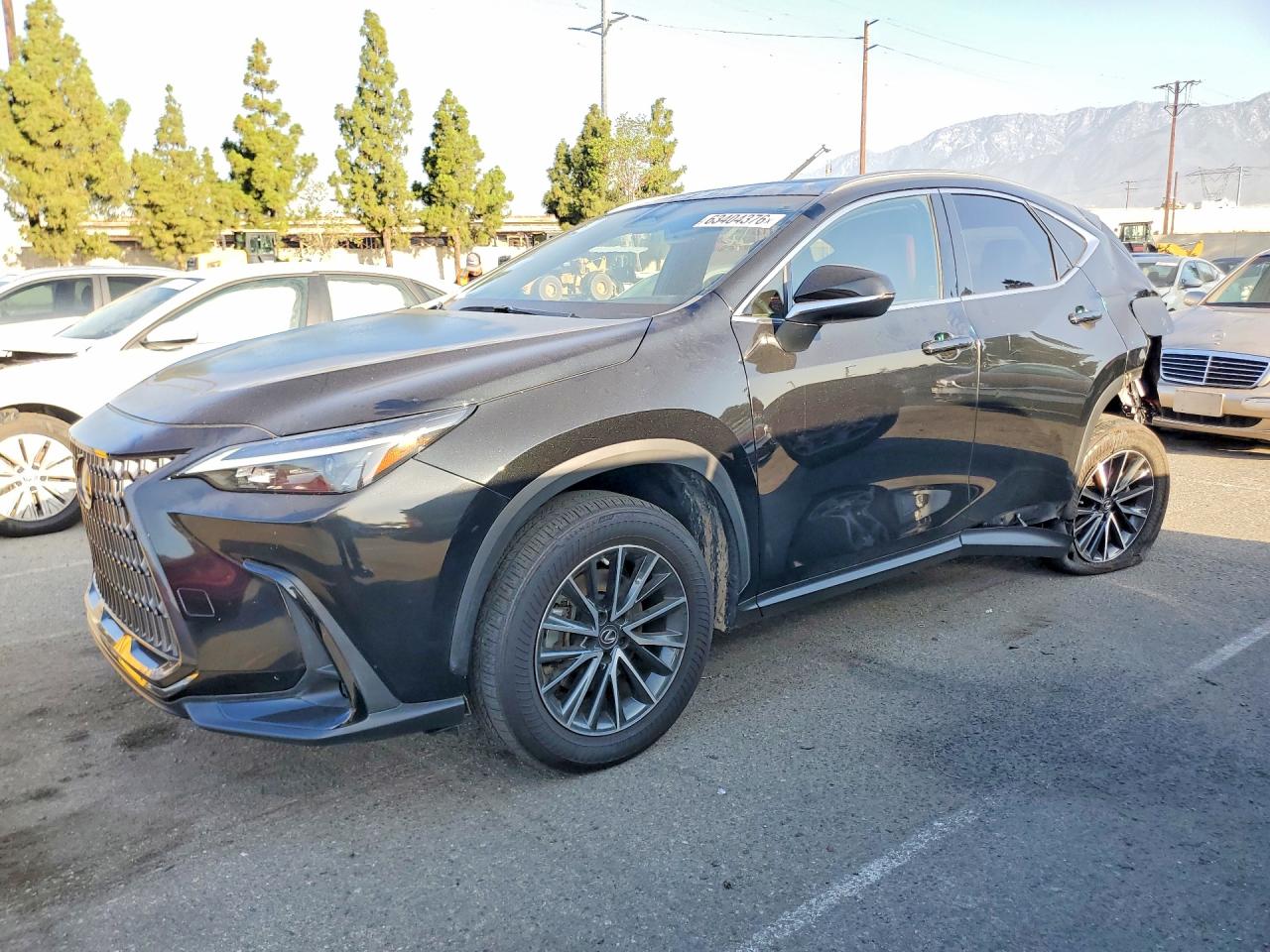 2023 LEXUS NX 350h Base