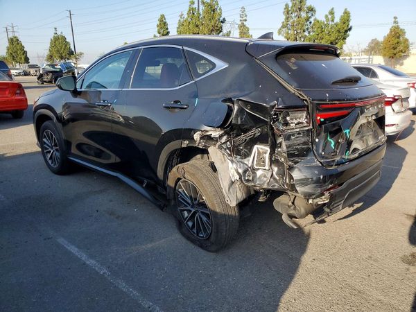 2023 LEXUS NX 350h Base