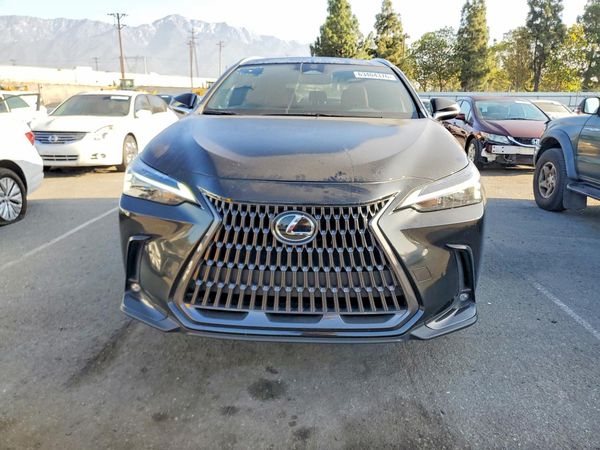 2023 LEXUS NX 350h Base