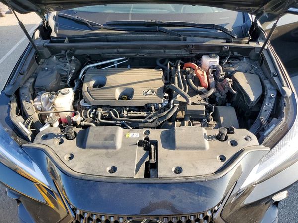 2023 LEXUS NX 350h Base