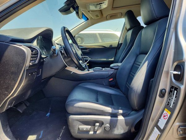 2019 LEXUS NX