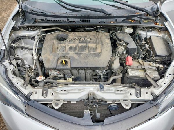 2019 TOYOTA COROLLA