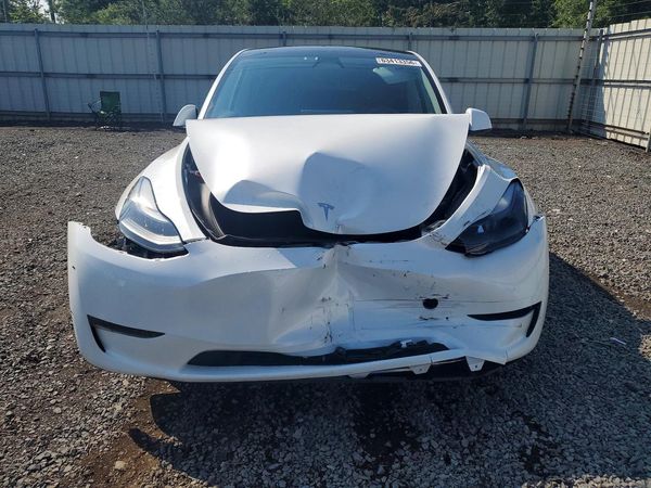 2024 TESLA MODEL Y — DIRF