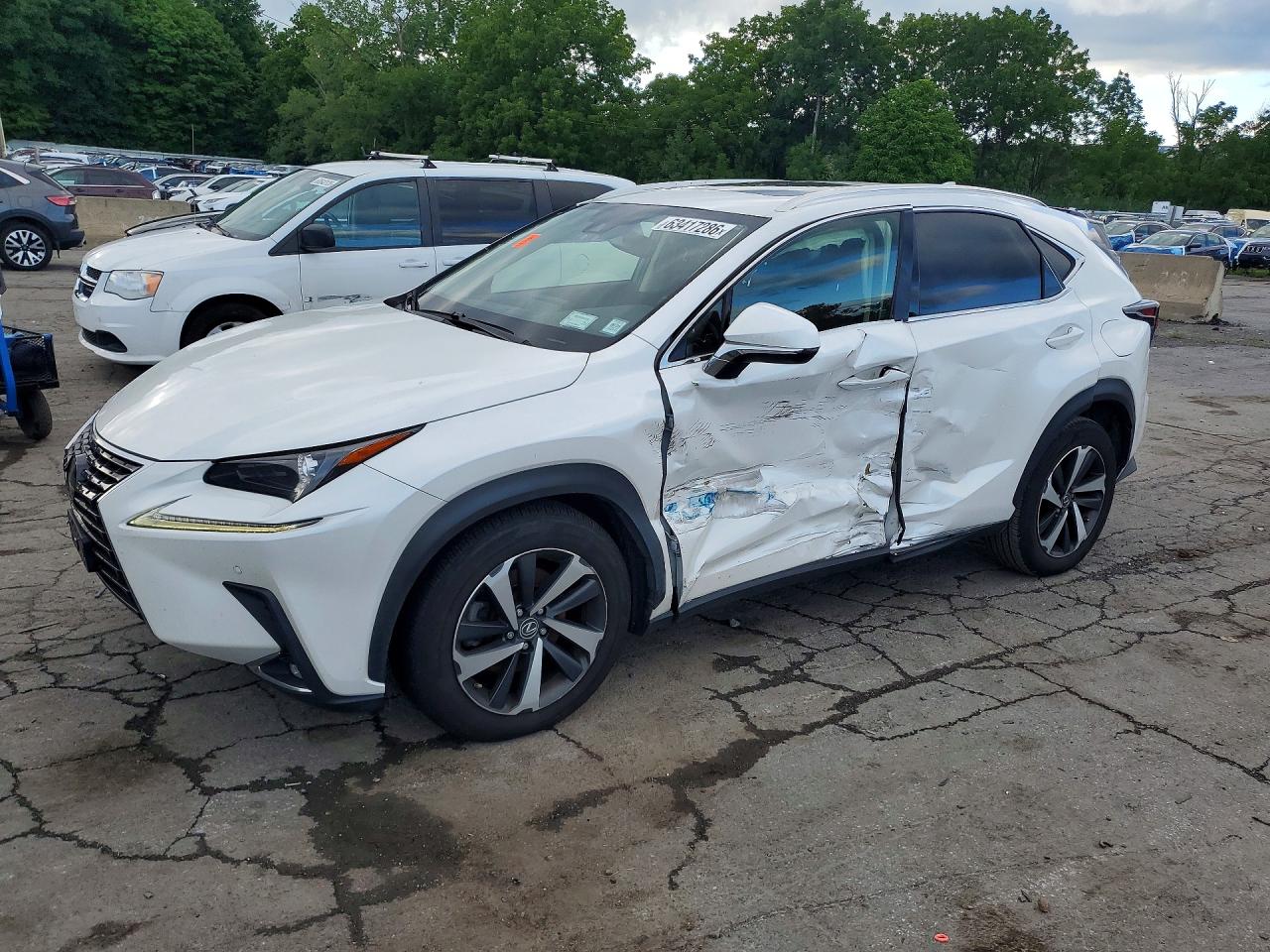 2020 LEXUS NX 300 Premium