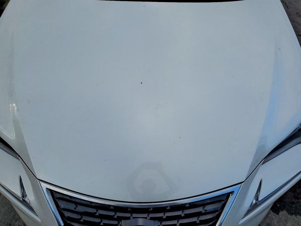 2020 LEXUS NX 300 Premium