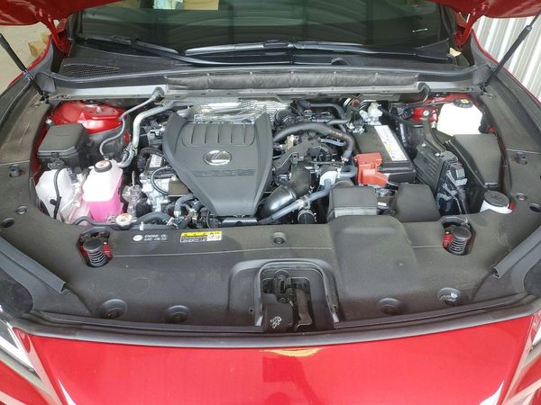 2024 LEXUS RX 350