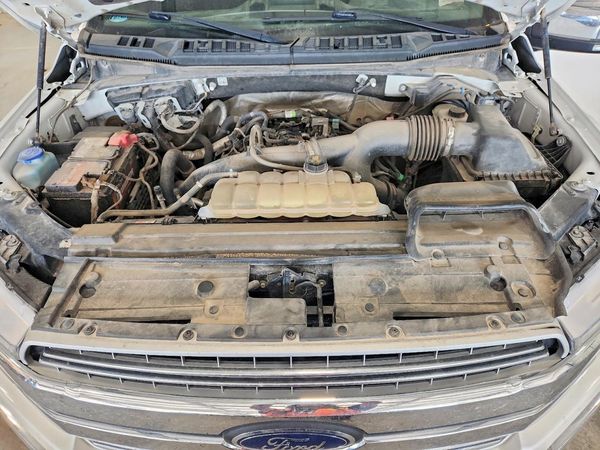 2019 FORD F150