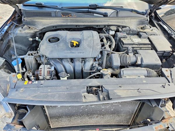 2019 KIA FORTE FE/LX/LXS
