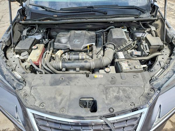 2020 LEXUS NX 300 Premium