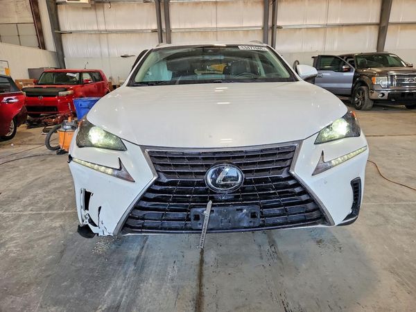 2019 LEXUS NX 300 300 Luxury