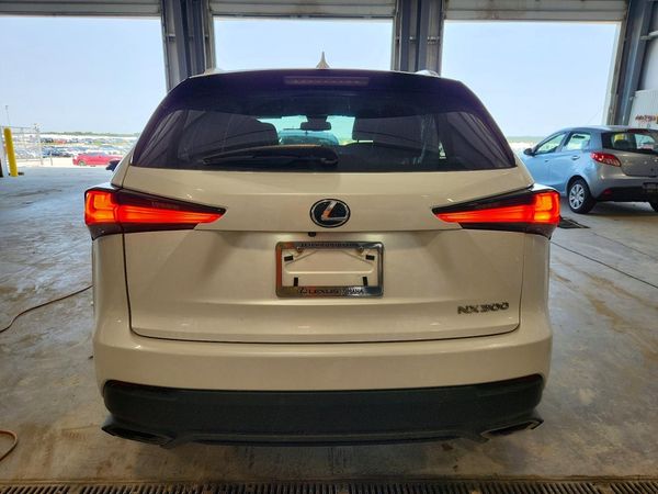 2019 LEXUS NX 300 300 Luxury