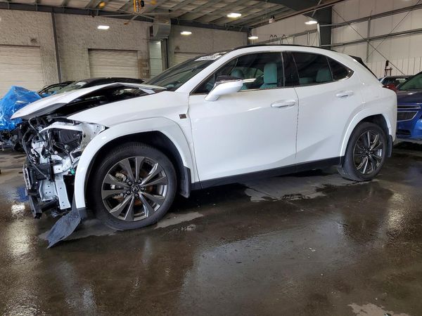 2025 LEXUS UX 300H