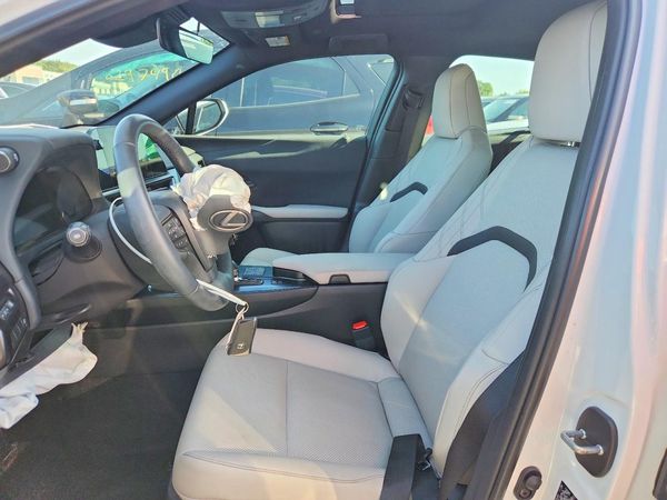 2025 LEXUS UX 300H