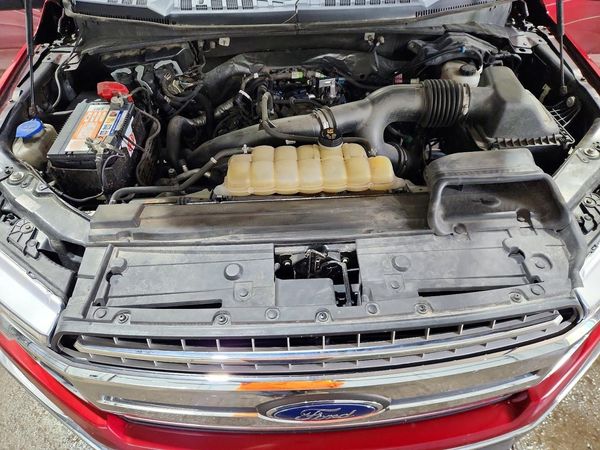 2019 FORD F150