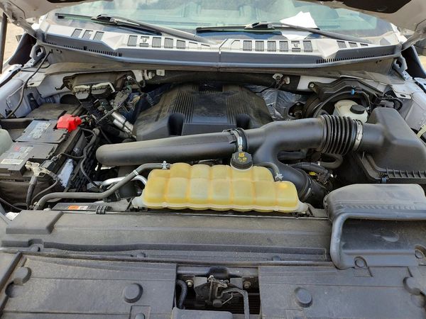 2019 FORD F150