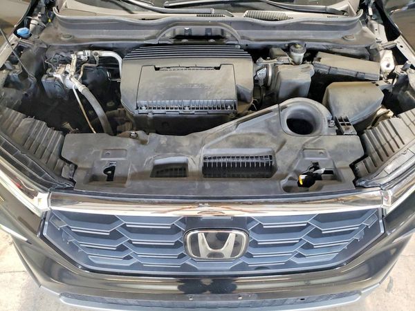 2025 HONDA PILOT EX-L, EX-L HPD