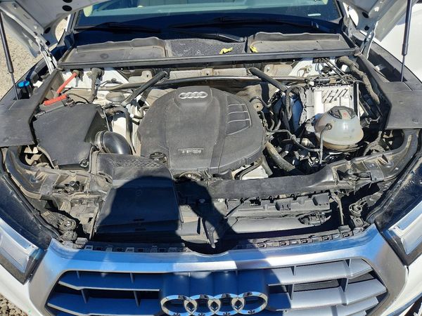 2019 AUDI Q5 quattro Premium Plus