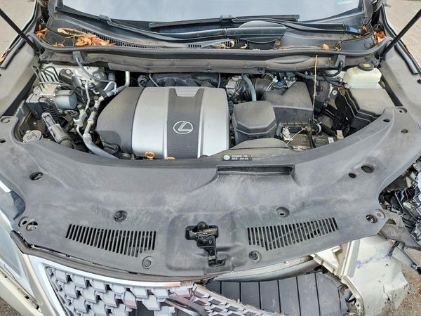 2020 LEXUS RX 350 Luxury