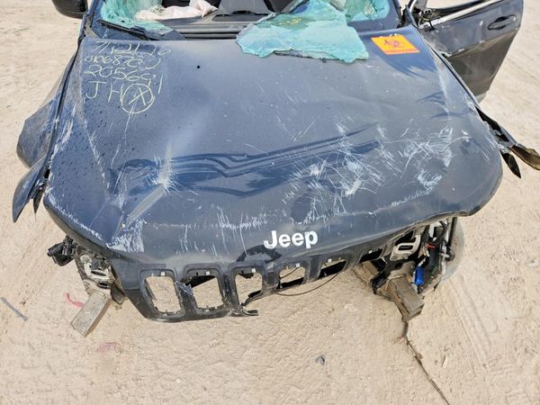 2019 JEEP CHEROKEE Latitude Plus — Engine bay