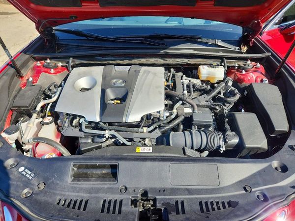 2020 LEXUS ES 300h Ultra Luxury