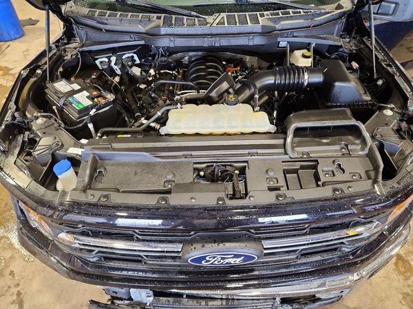 2025 FORD F150 XLT