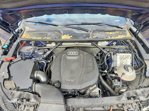 2020 AUDI Q5 quattro Premium — Engine bay