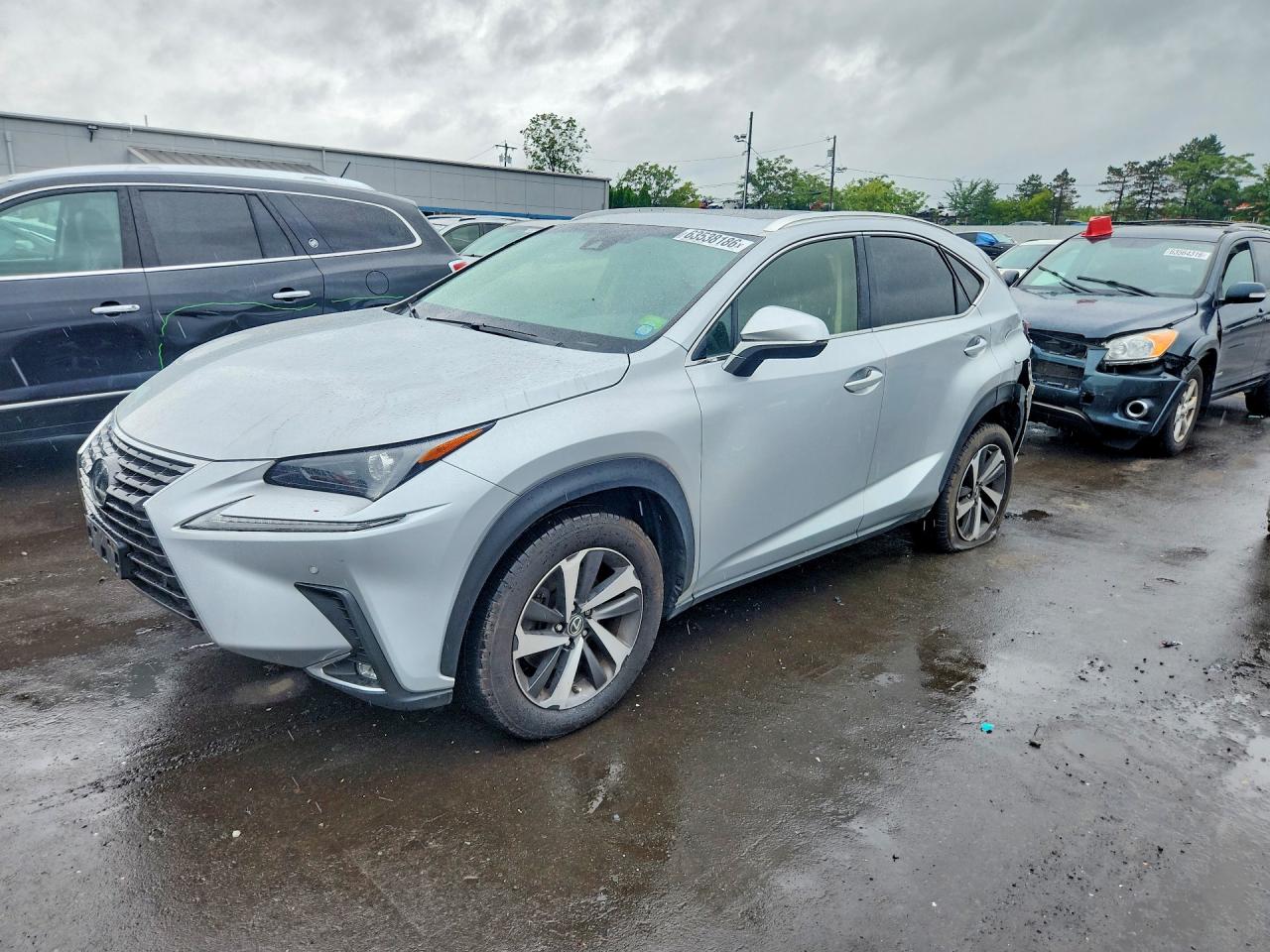 2019 LEXUS NX 300 300 Luxury