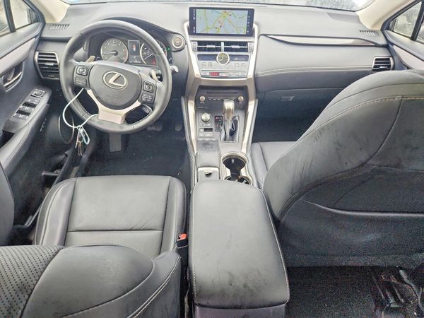 2019 LEXUS NX 300 300 Luxury