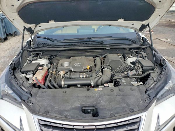 2021 LEXUS NX 300 300 Premium