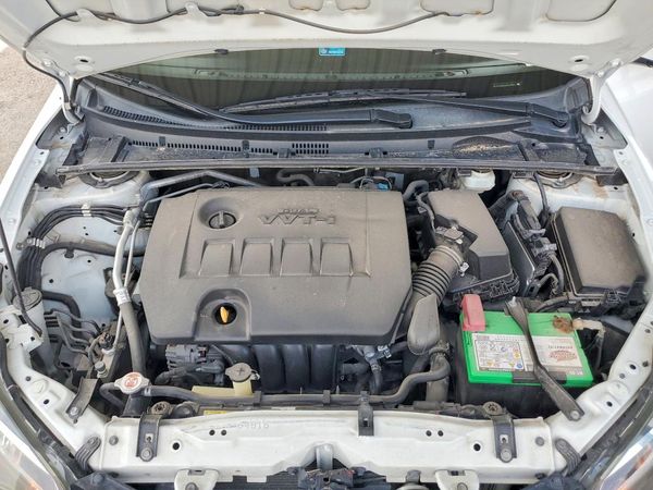2019 TOYOTA COROLLA L/LE/SE/XLE/XSE