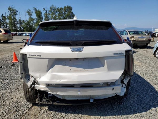 2025 CADILLAC OPTIQ Sport 1