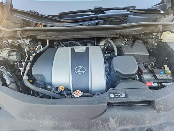 2020 LEXUS RX 350 F Sport High