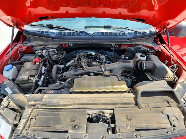 2019 FORD F150
