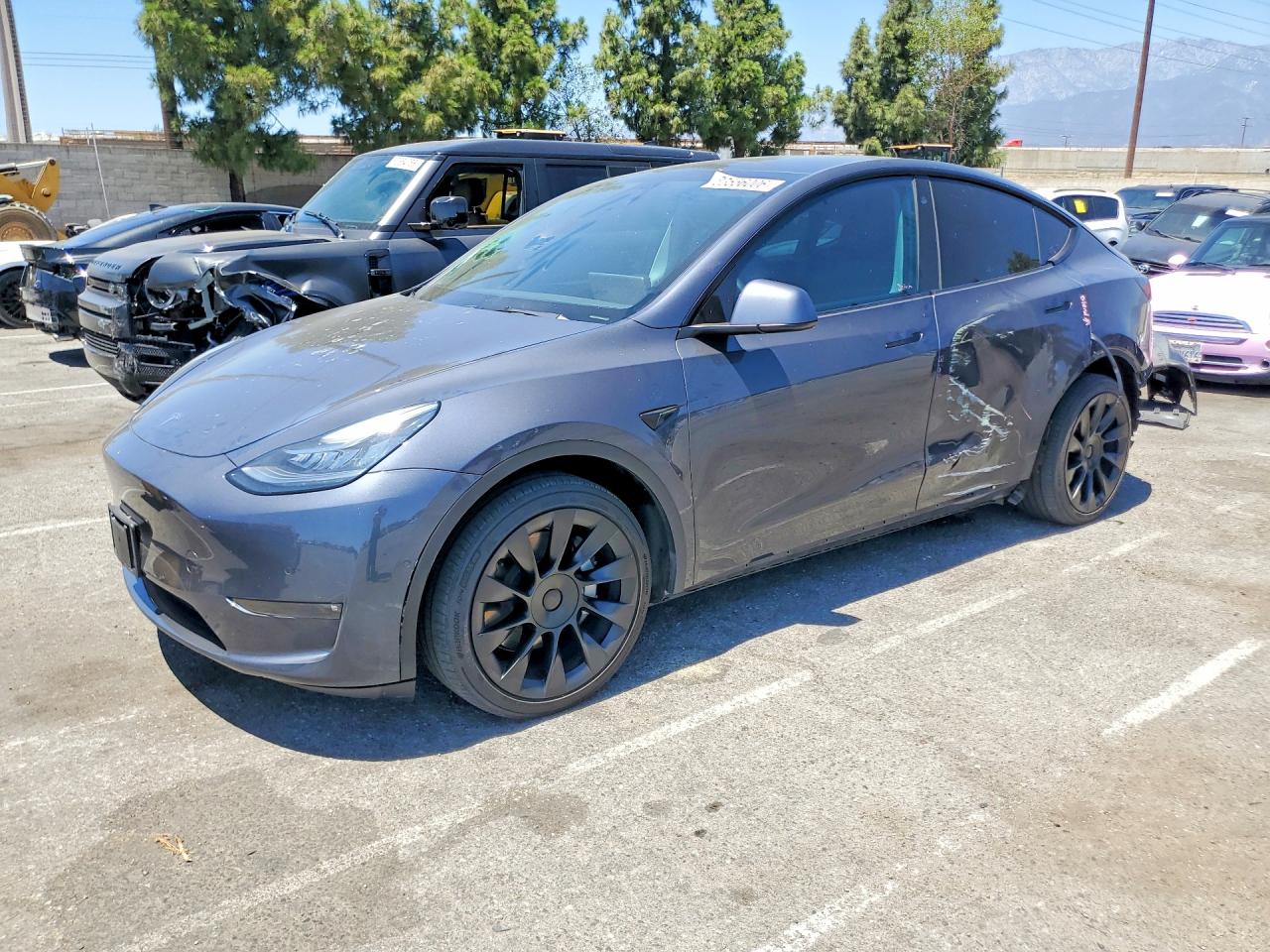 2021 TESLA MODEL Y