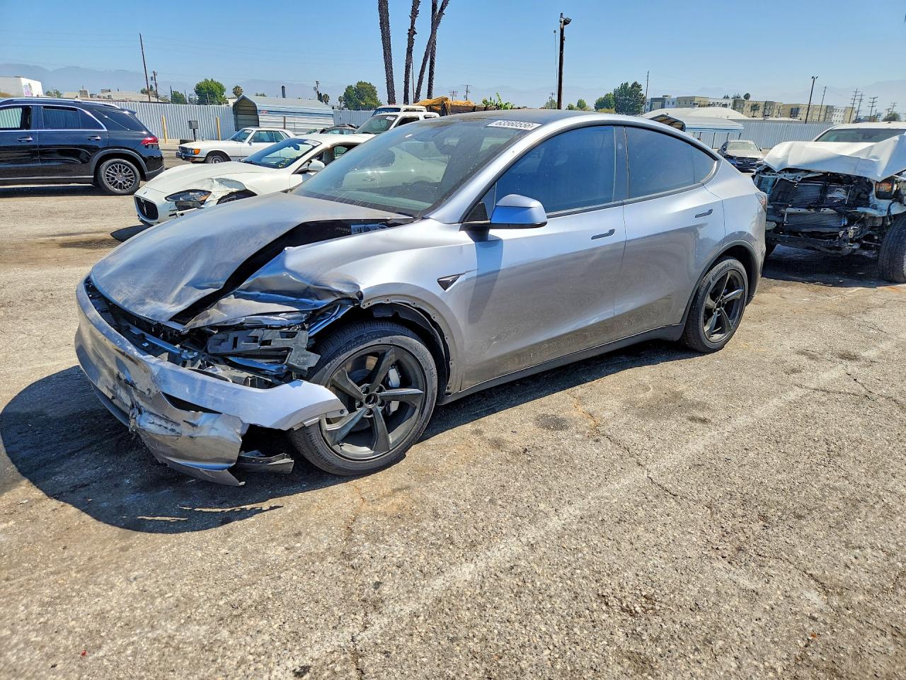 2026 TESLA MODEL Y