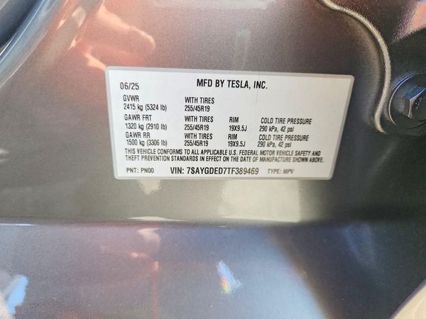 2026 TESLA MODEL Y