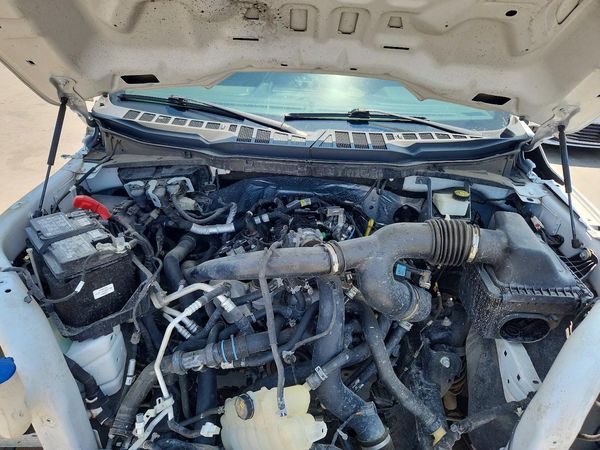 2024 FORD F150
