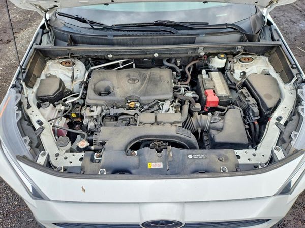 2019 TOYOTA RAV4 XLE / XLE Premium 4WD