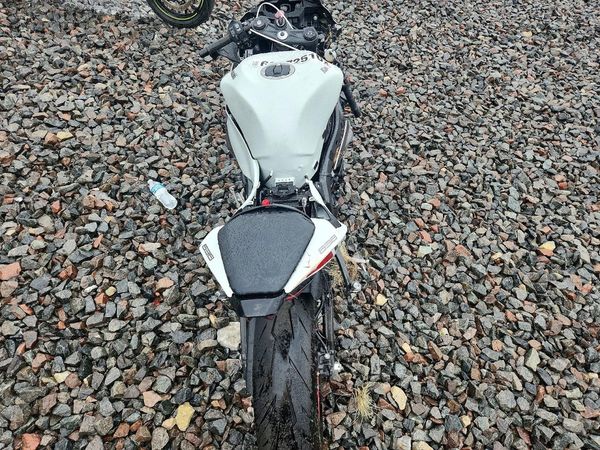 2025 KAWASAKI ZX636