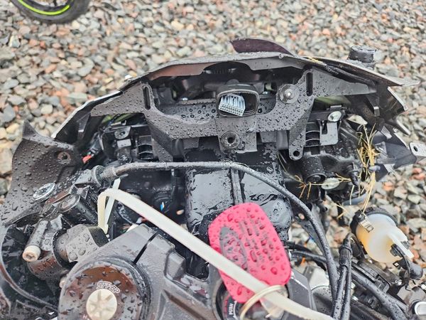 2025 KAWASAKI ZX636