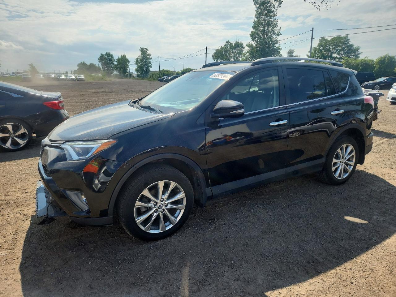 2018 TOYOTA RAV4 Ltd/Platinum